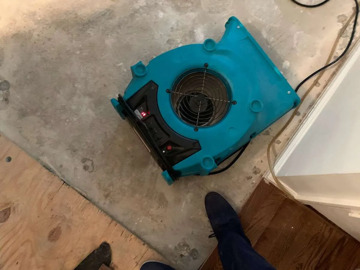 Air mover drying subfloor during Leak Detection & Repair in Linden